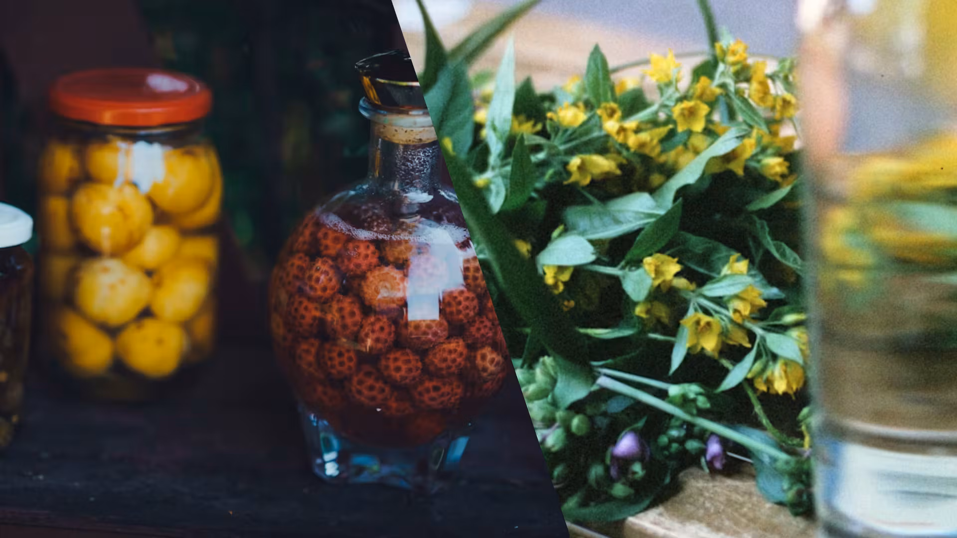 Infusión vs Maceración: técnicas, diferencias y cómo empezar