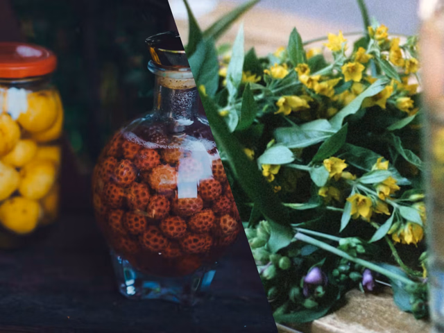 Infusión vs Maceración: técnicas, diferencias y cómo empezar